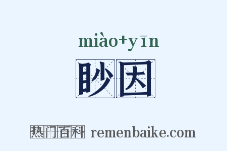 眇因是什么意思的图片